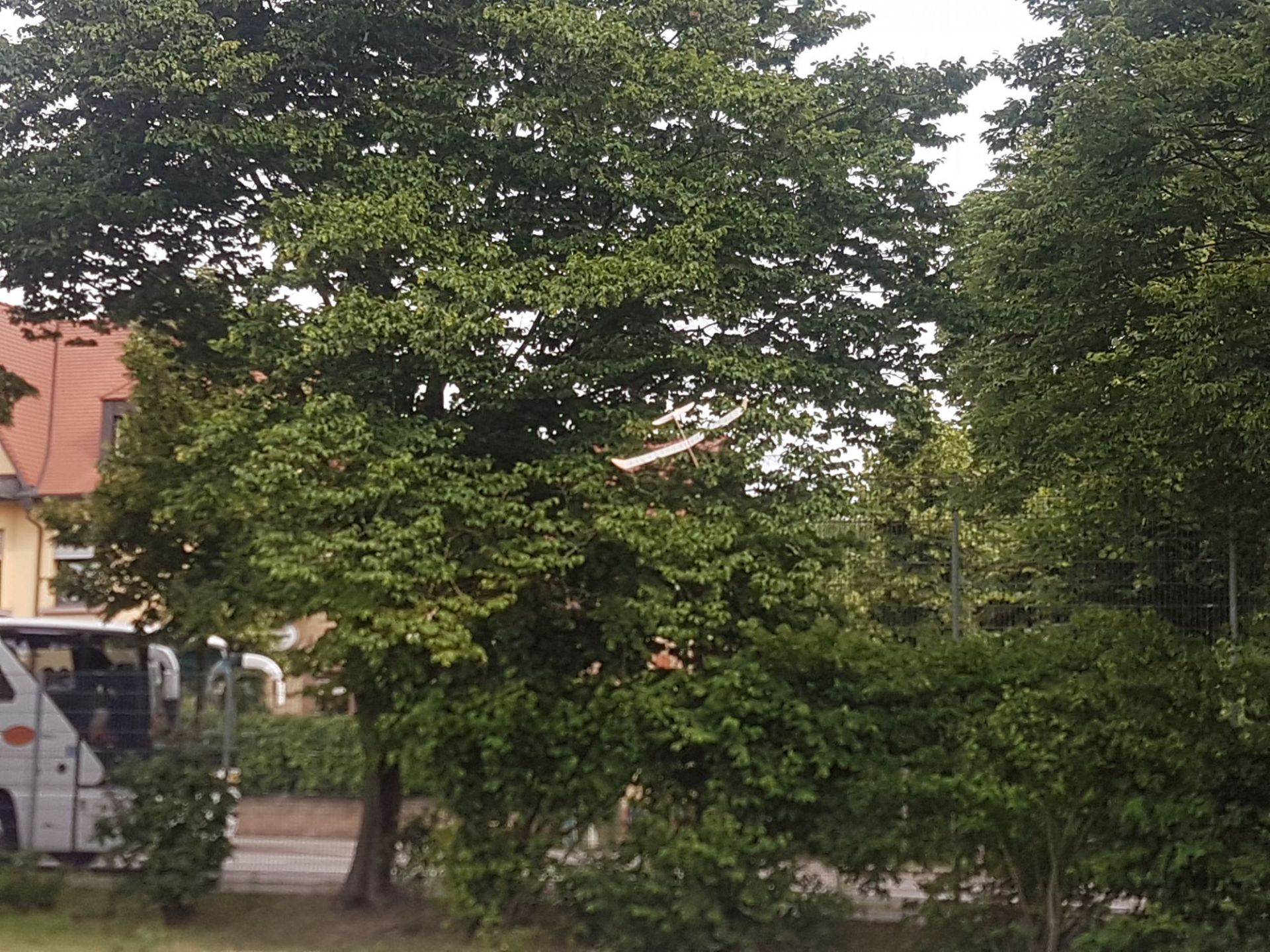20170609_093035.jpg