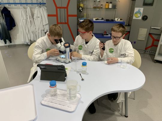 2023 - 6d - Schaum-Lab2.jpeg