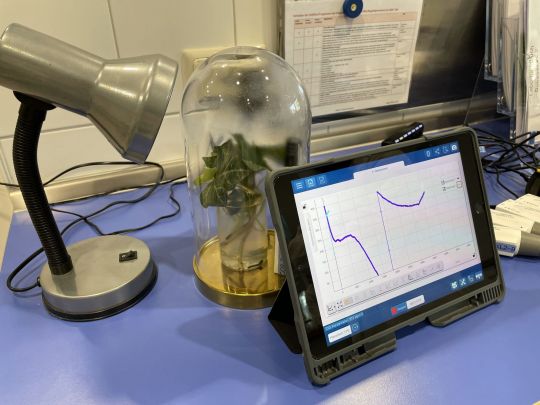 2023 - 6b - CO2-Lab (3).jpg