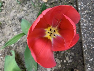 thumbnail_IMG_4123.jpg