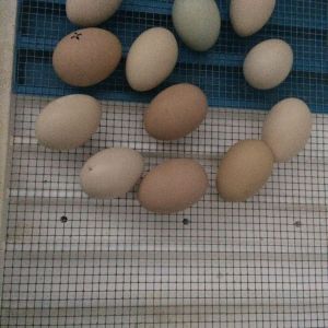 20180501_160007290_iOS.jpg