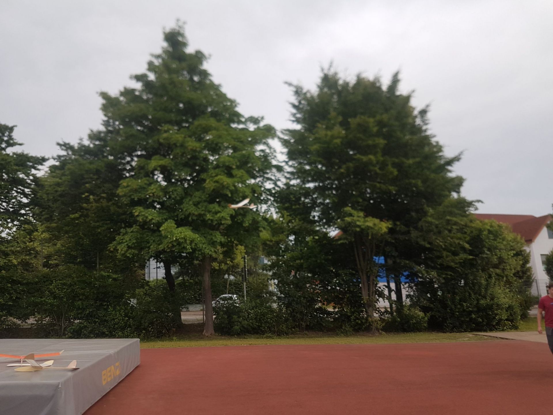 20170609_093028_001.jpg