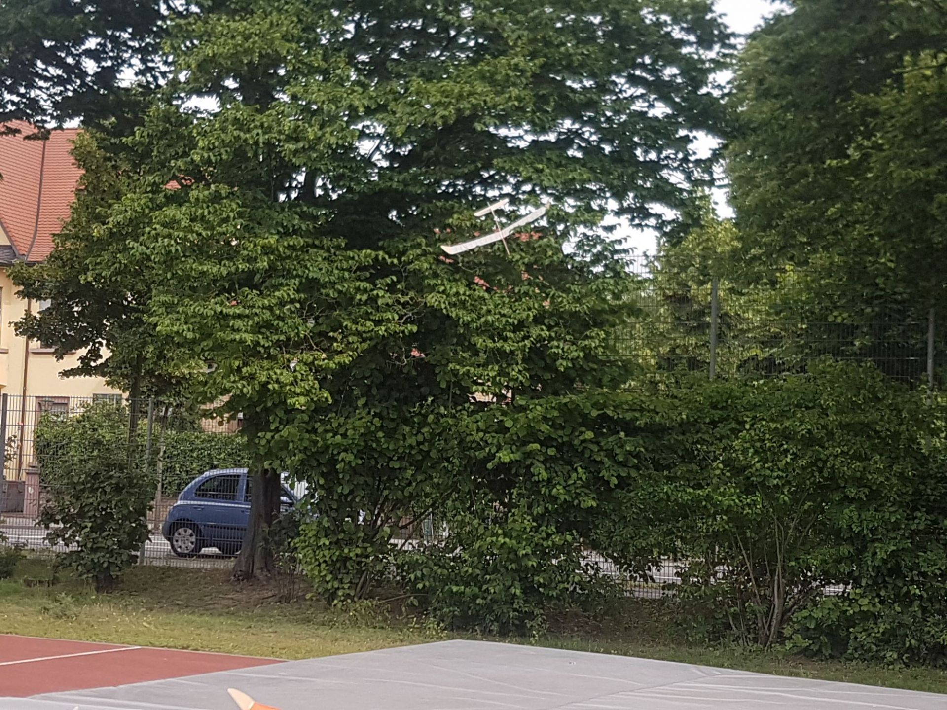 20170609_093040.jpg