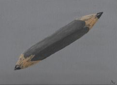 PhotoScan5-1.jpg
