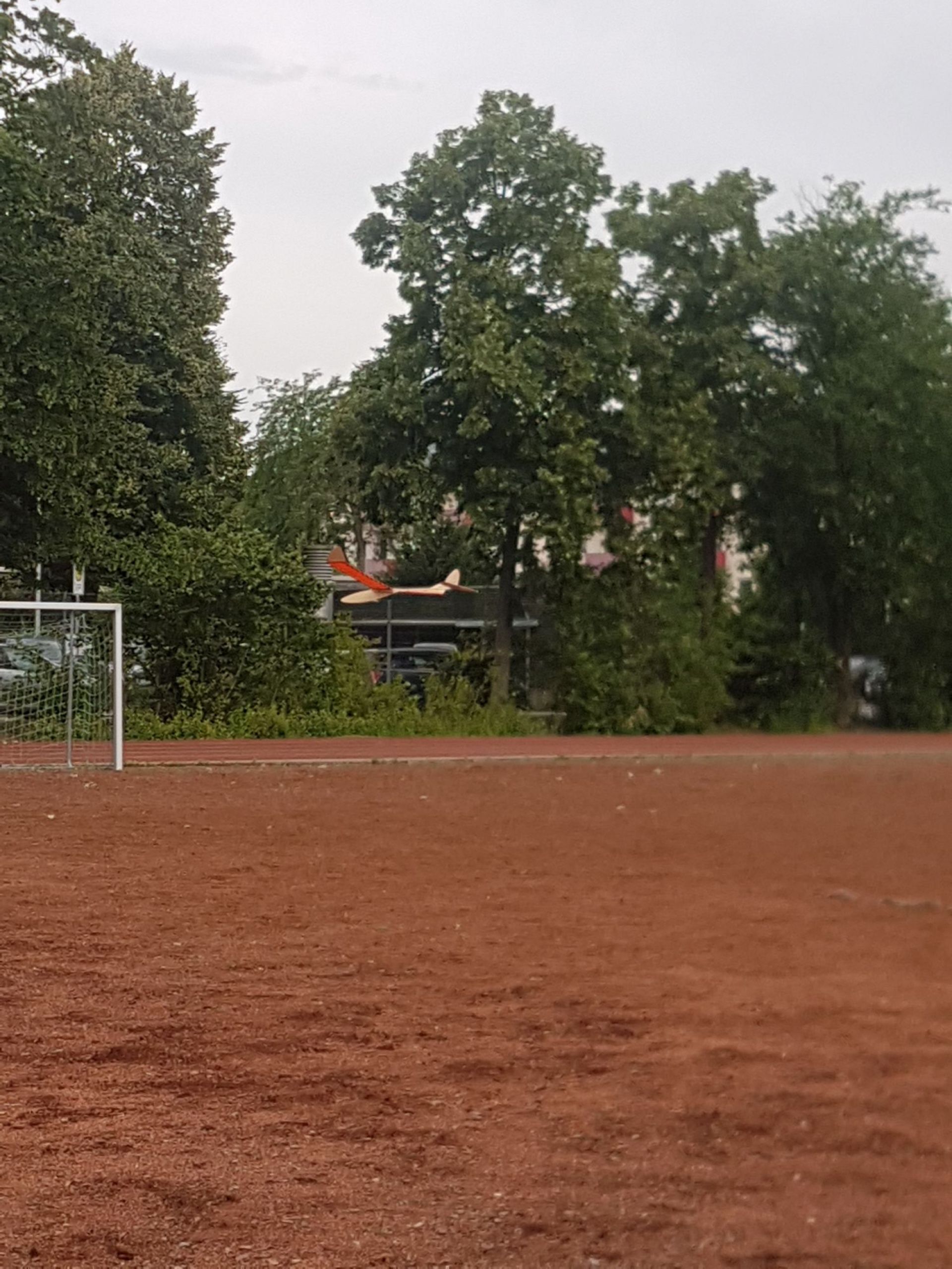 20170609_094124.jpg