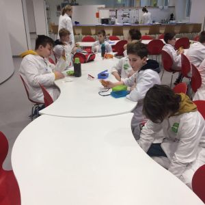 20180316_090629601_iOS.jpg